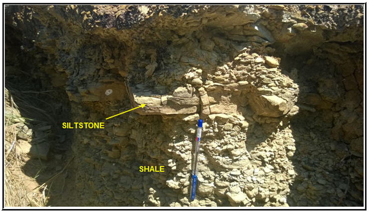 Karoo outcrops, Olive greenish grey shale exposed at Fuga hill and Kidahi area